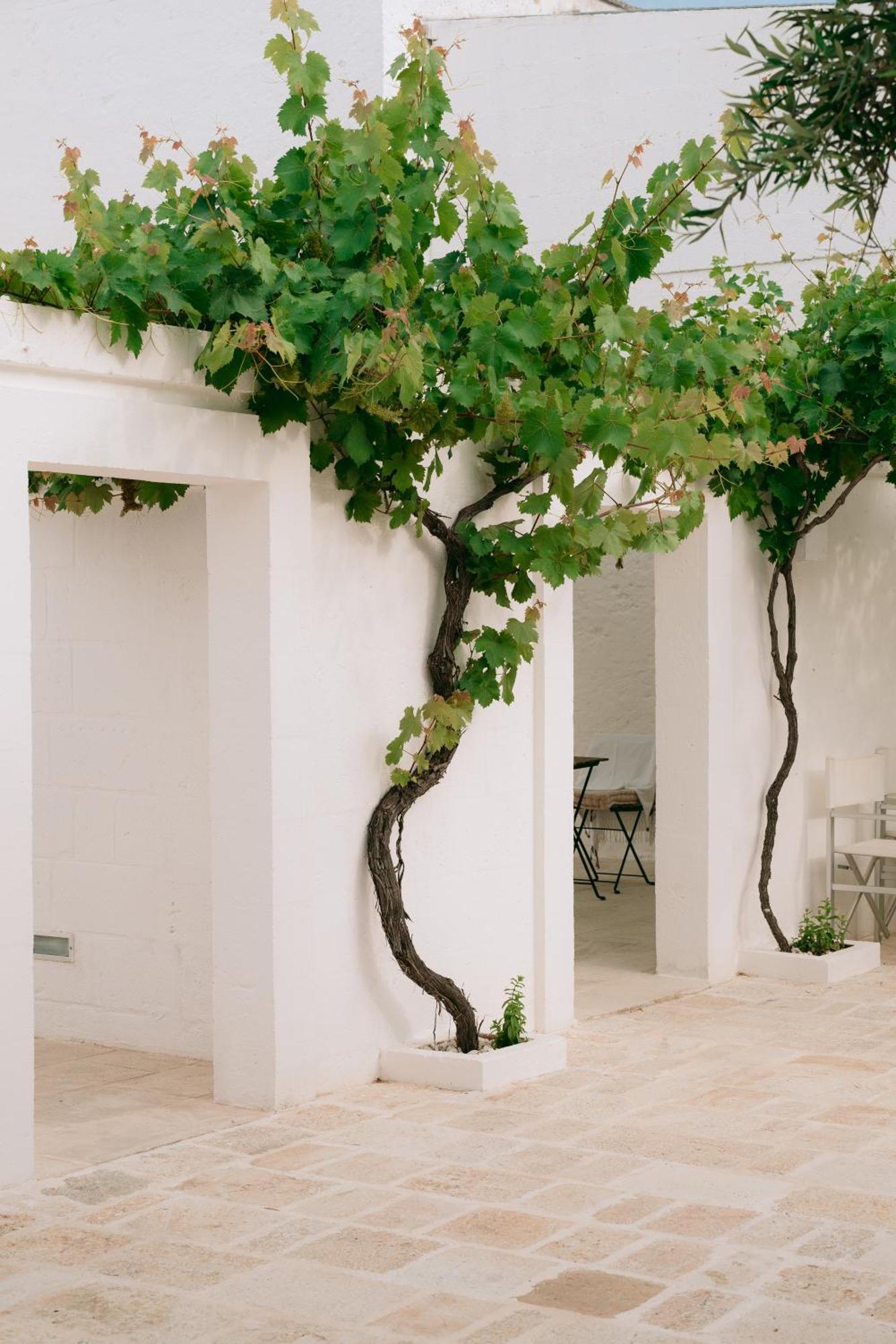 오스투니 Oltre Gli Ulivi B&B 외부 사진